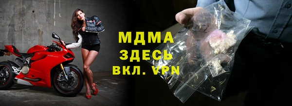 ГАЛЛЮЦИНОГЕННЫЕ ГРИБЫ Ельня