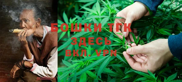 ГАЛЛЮЦИНОГЕННЫЕ ГРИБЫ Ельня