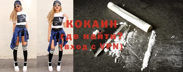 гидра Елизово