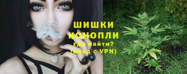 ГАЛЛЮЦИНОГЕННЫЕ ГРИБЫ Ельня