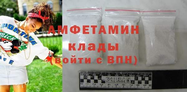 ГАЛЛЮЦИНОГЕННЫЕ ГРИБЫ Ельня