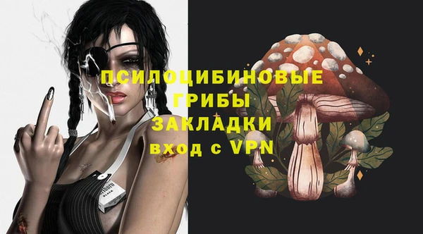 гидра Елизово