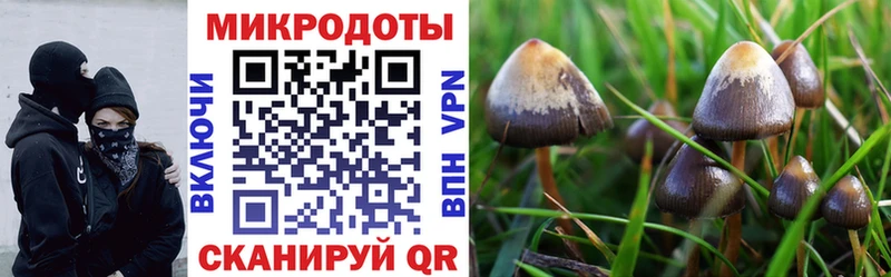 Псилоцибиновые грибы ЛСД mega как зайти Санкт-Петербург