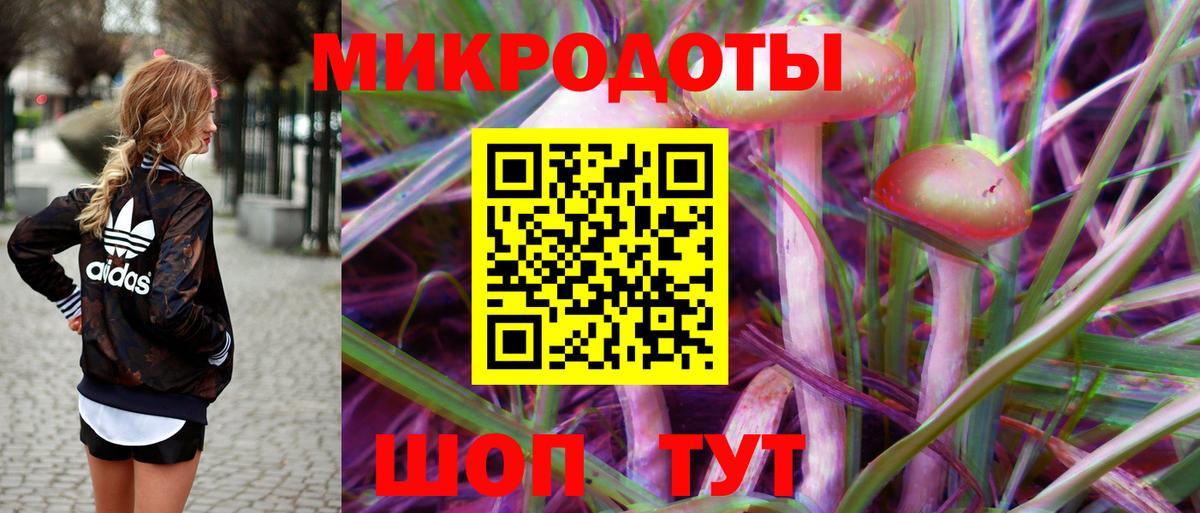 Псилоцибиновые грибы Psilocybine cubensis  Псилоцибиновые грибы MAGIC MUSHROOMS  Санкт-Петербург  Вход с VPN 